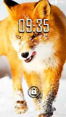 Play Winter Animals Live Wallpaper