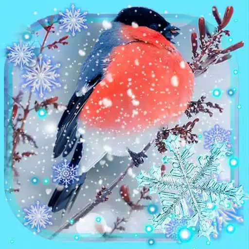 Free play online Winter Birds Live Wallpaper APK Free play online Winter Birds Live Wallpaper APK
