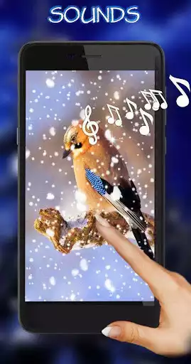 Play Winter Birds Live Wallpaper
