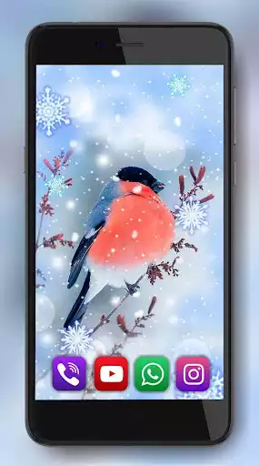Play Winter Birds Live Wallpaper