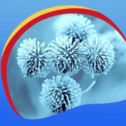 Free play online Winter Flowers Live Wallpapers  APK