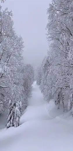 Play APK Winter HD Wallpapers  and enjoy Winter HD Wallpapers with UptoPlay com.myapps.WinterwallpaperHDG