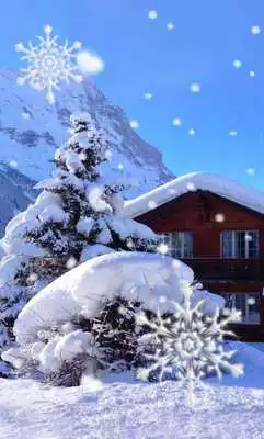 Play Winter House live wallpaper