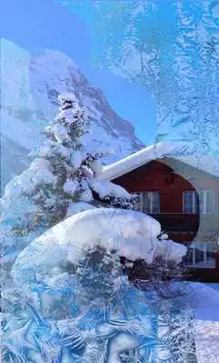 Play Winter House live wallpaper