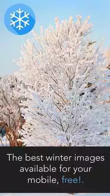 Play Winter Images