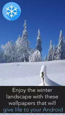 Play Winter Images