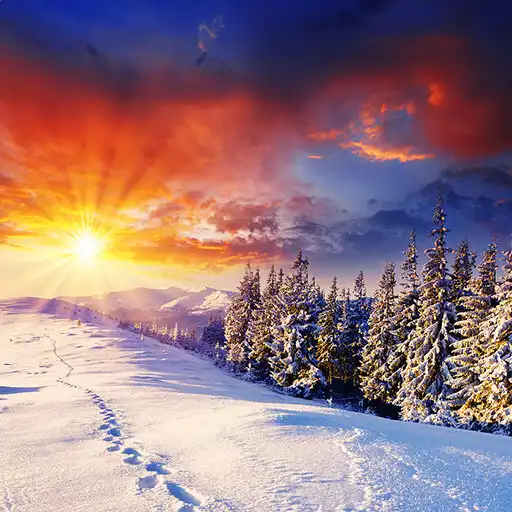 Play Winter Live Wallpaper HD FREE APK