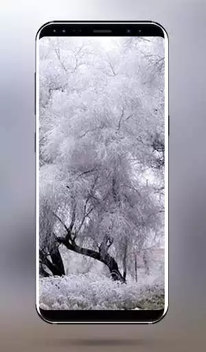 Play Winter Nature HD Wallpaper 4k & Full HD Wallpapers  and enjoy Winter Nature HD Wallpaper 4k & Full HD Wallpapers with UptoPlay