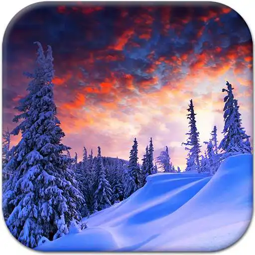 Free play online Winter Nature Live Wallpaper  APK
