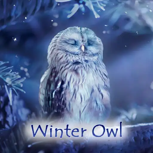Play Winter Owl Theme +HOME APK Play Winter Owl Theme +HOME APK