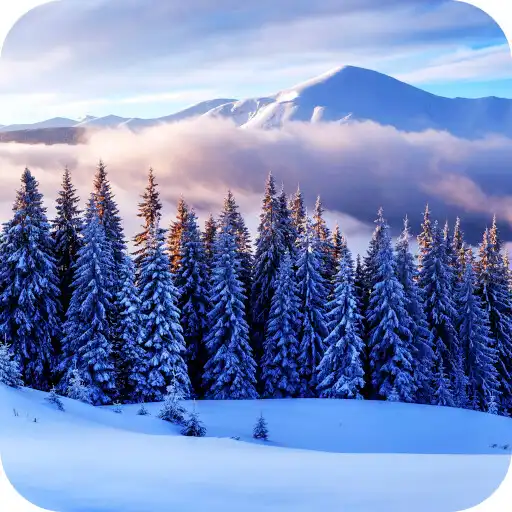 Play Winter Paradise PRO 4K Live Wallpaper APK