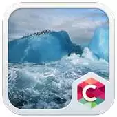 Free play online Winter Penguins CLauncher Them APK