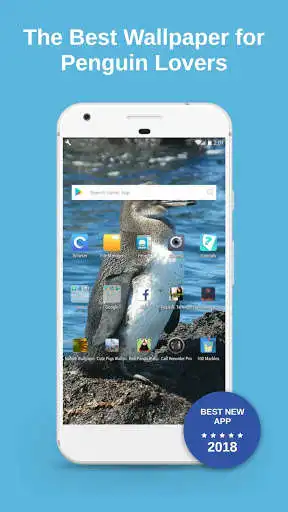 Play Winter Penguin Wallpaper  and enjoy Winter Penguin Wallpaper with UptoPlay