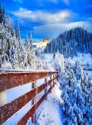 Play Winter Pictures Wallpaper