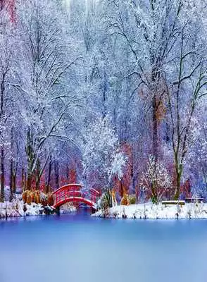 Play Winter Pictures Wallpaper