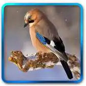 Free play online Winter Scenery Live Wallpaper APK Free play online Winter Scenery Live Wallpaper APK