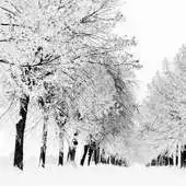 Free play online winter season wallpaper APK
