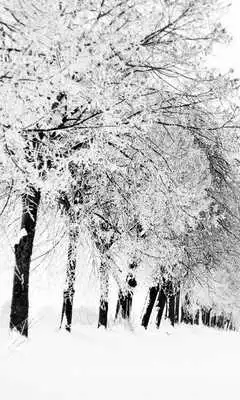 Play winter season wallpaper