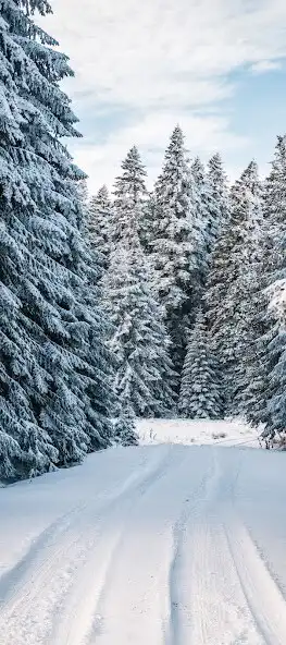 Play Winter Season Wallpapers HD 4K  and enjoy Winter Season Wallpapers HD 4K with UptoPlay