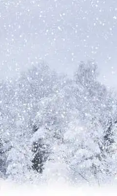 Play Winter Snowfall Day Night HD Theme