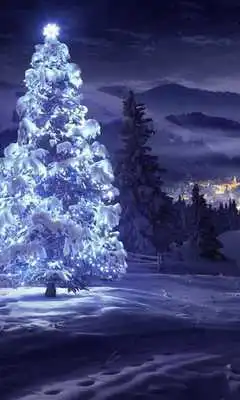 Play Winter Snowfall Day Night HD Theme