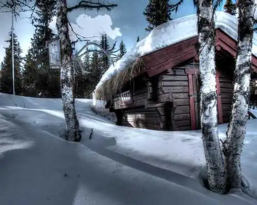 Play Winter Snowfall Day Night HD Theme