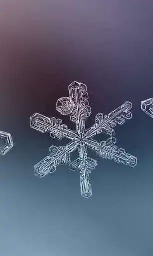 Play Winter Snowflakes Wallpaper  and enjoy Winter Snowflakes Wallpaper with UptoPlay
