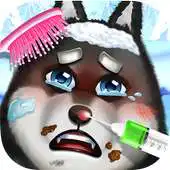 Free play online Winter Snow - Pet Doctor APK Free play online Winter Snow - Pet Doctor APK