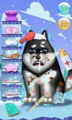 Play Winter Snow - Pet Doctor