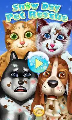 Play Winter Snow - Pet Doctor