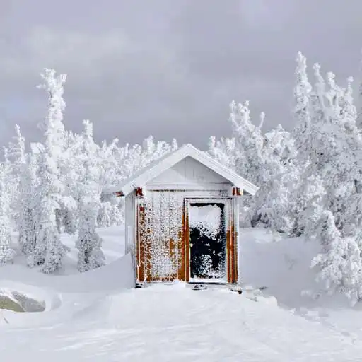 Free play online Winter snow wallpapers APK