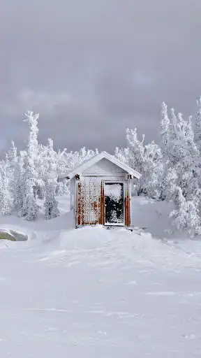 Play Winter snow wallpapers
