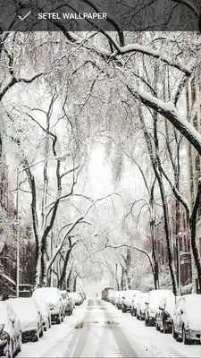 Play Winter snow wallpapers