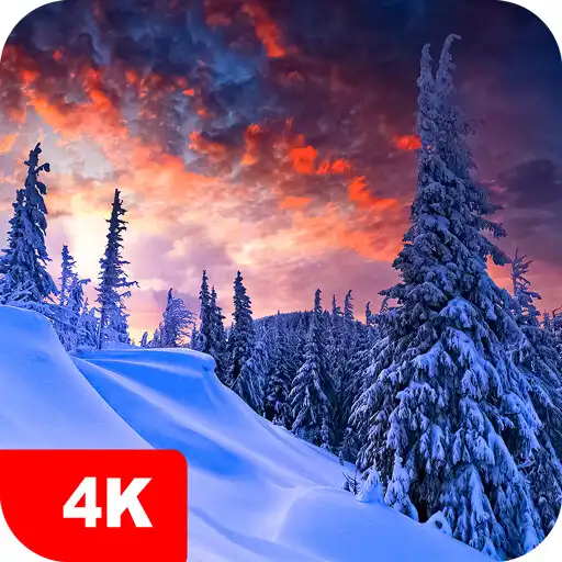 Play Winter Wallpapers 4K APK Play Winter Wallpapers 4K APK