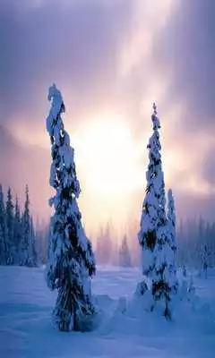 Play Winter Wallpaper