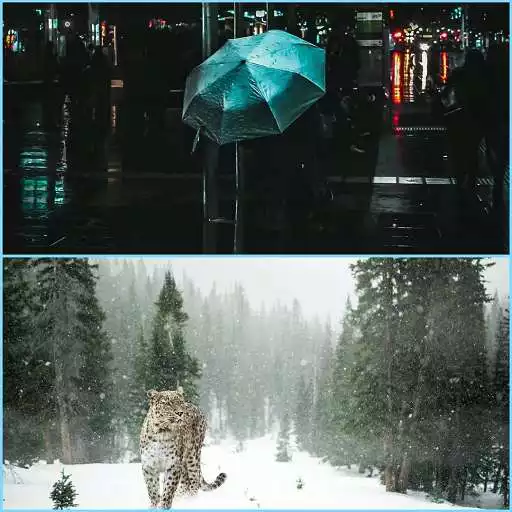 Play Winter Wallpapers HD MO APK