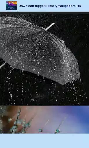 Play Winter Wallpapers HD MO as an online game Winter Wallpapers HD MO with UptoPlay