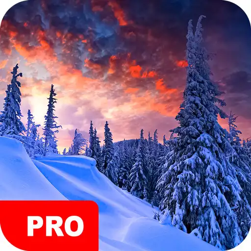 Play Winter Wallpapers PRO APK