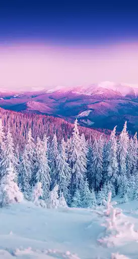 Play Winter wallpapers as an online game Winter wallpapers with UptoPlay