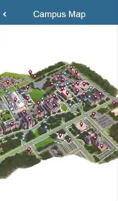 Play Winthrop Student Success