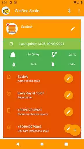 Play WisBee Scale  and enjoy WisBee Scale with UptoPlay