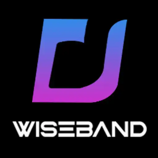 Play wiseband APK