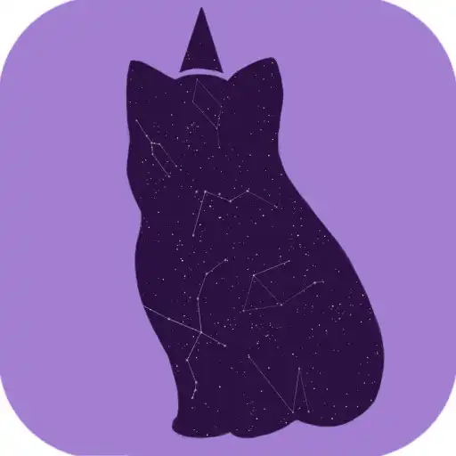Play Wise Cat - Magic divinations APK