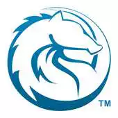 Free play online Wise Option APK Free play online Wise Option APK