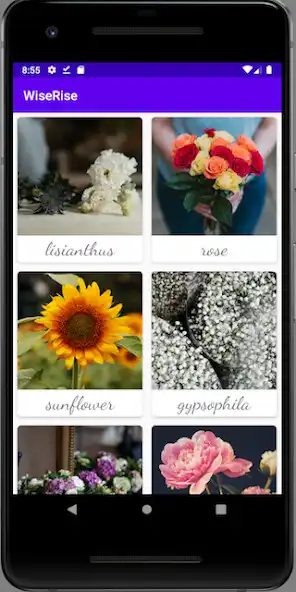 Play WishRise Flowers  and enjoy WishRise Flowers with UptoPlay