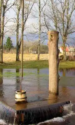 Play Witcheswell Estonia Puzzles Play Witcheswell Estonia Puzzles