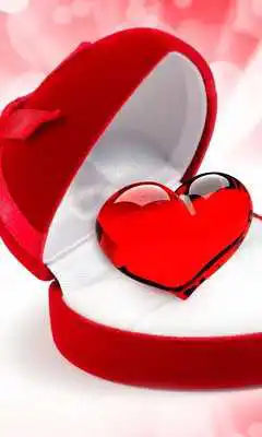 Play With love HD live wallpaper