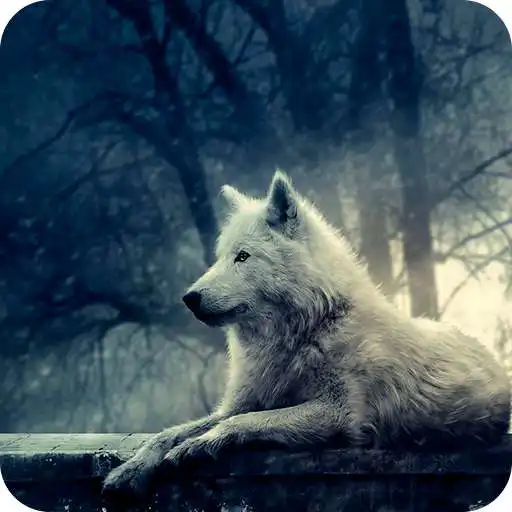 Free play online Wolf 3D Live Wallpaper FREE APK Free play online Wolf 3D Live Wallpaper FREE APK