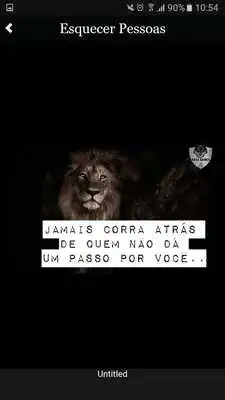 Play Wolf Clube Play Wolf Clube