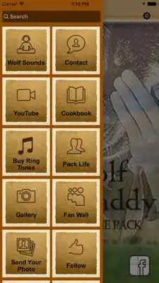 Play Wolf Daddy Play Wolf Daddy